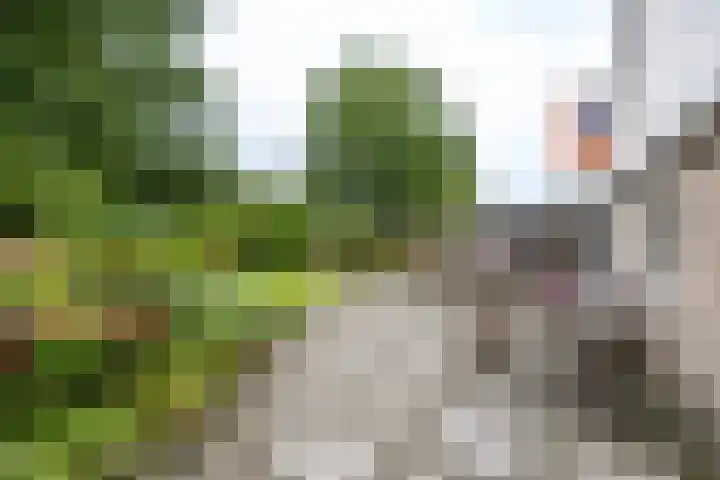 Gouw 15 Winsum thumbnail 9