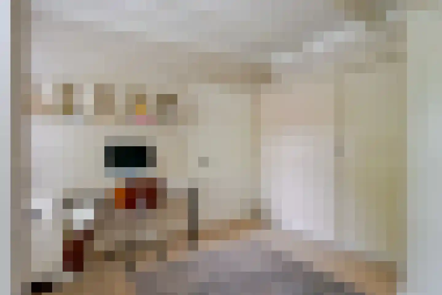 Gouw 2 Opperdoes thumbnail 15