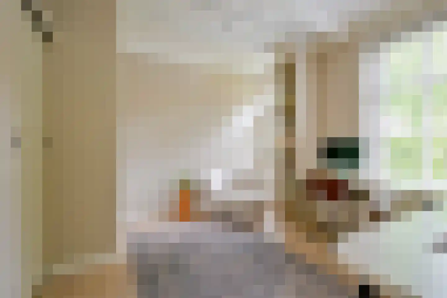 Gouw 2 Opperdoes thumbnail 16