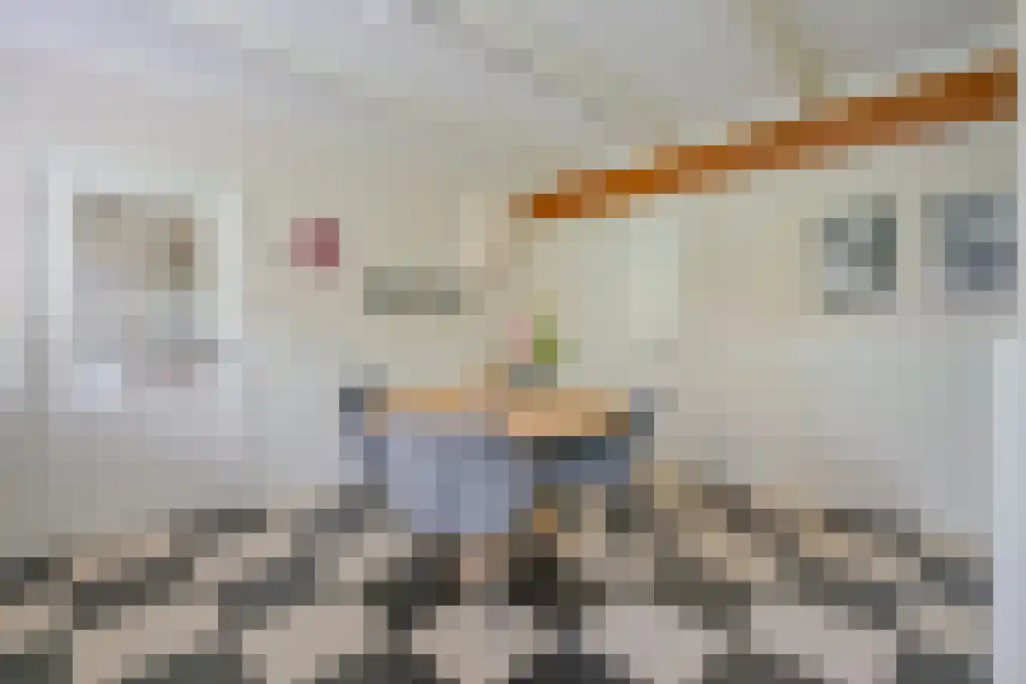 Gouw 2 Opperdoes thumbnail 21