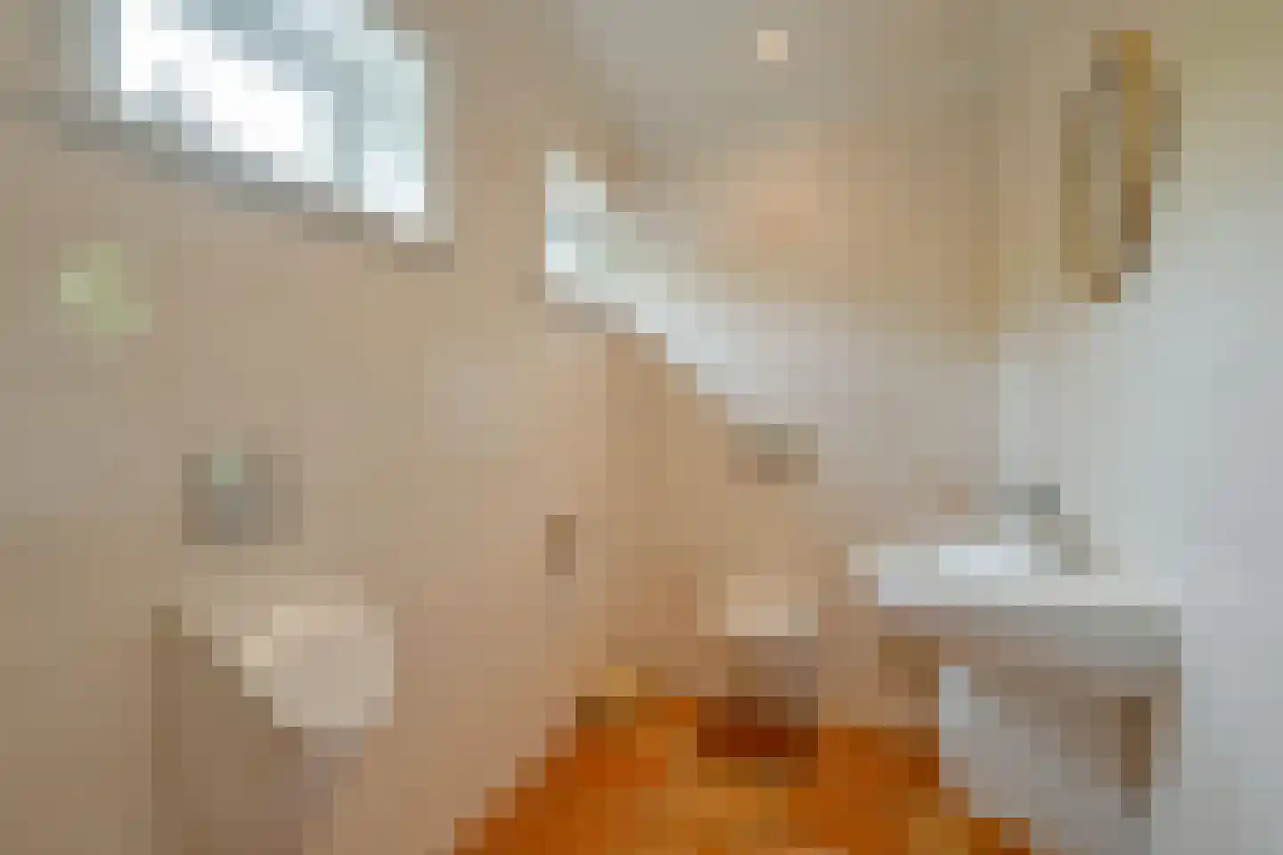 Gouw 2 Opperdoes thumbnail 23