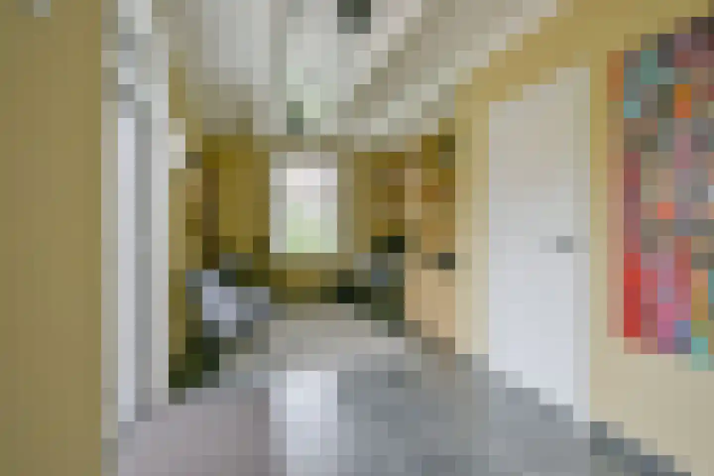 Gouw 2 Opperdoes thumbnail 25