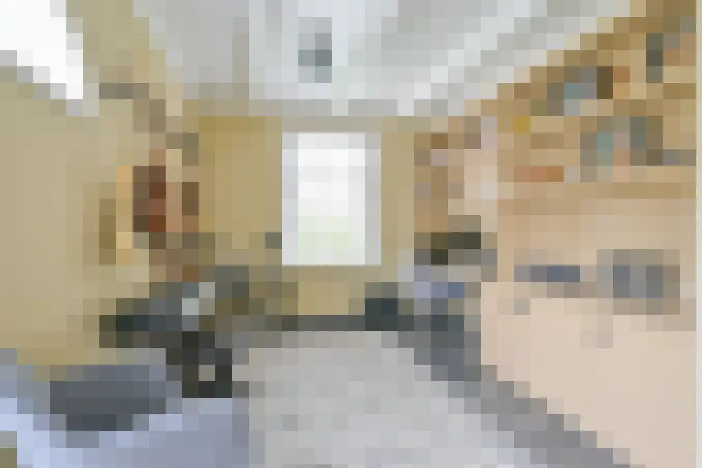 Gouw 2 Opperdoes thumbnail 26