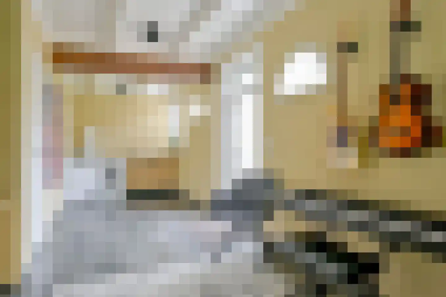 Gouw 2 Opperdoes thumbnail 29