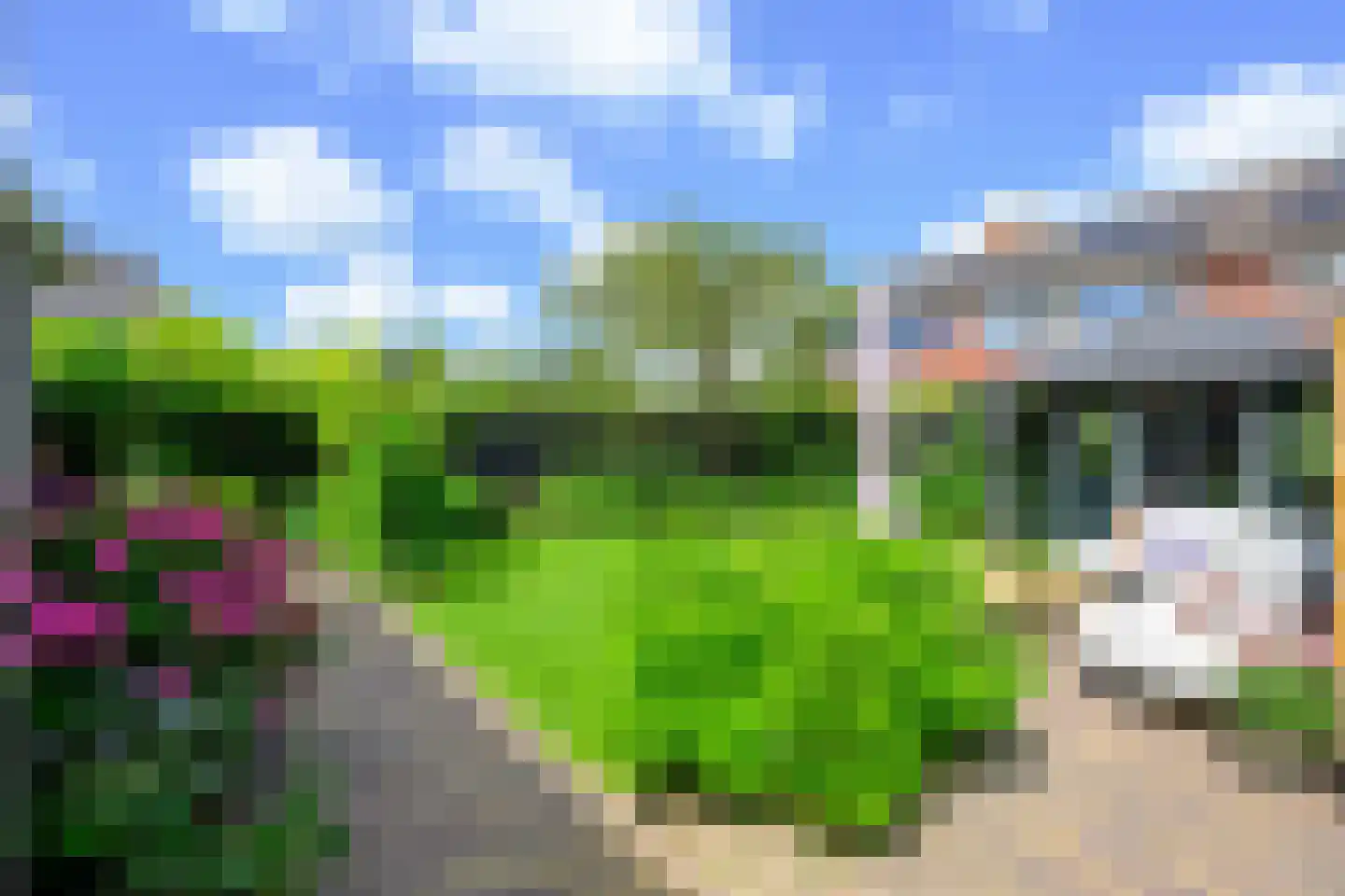 Gouw 2 Opperdoes thumbnail 30