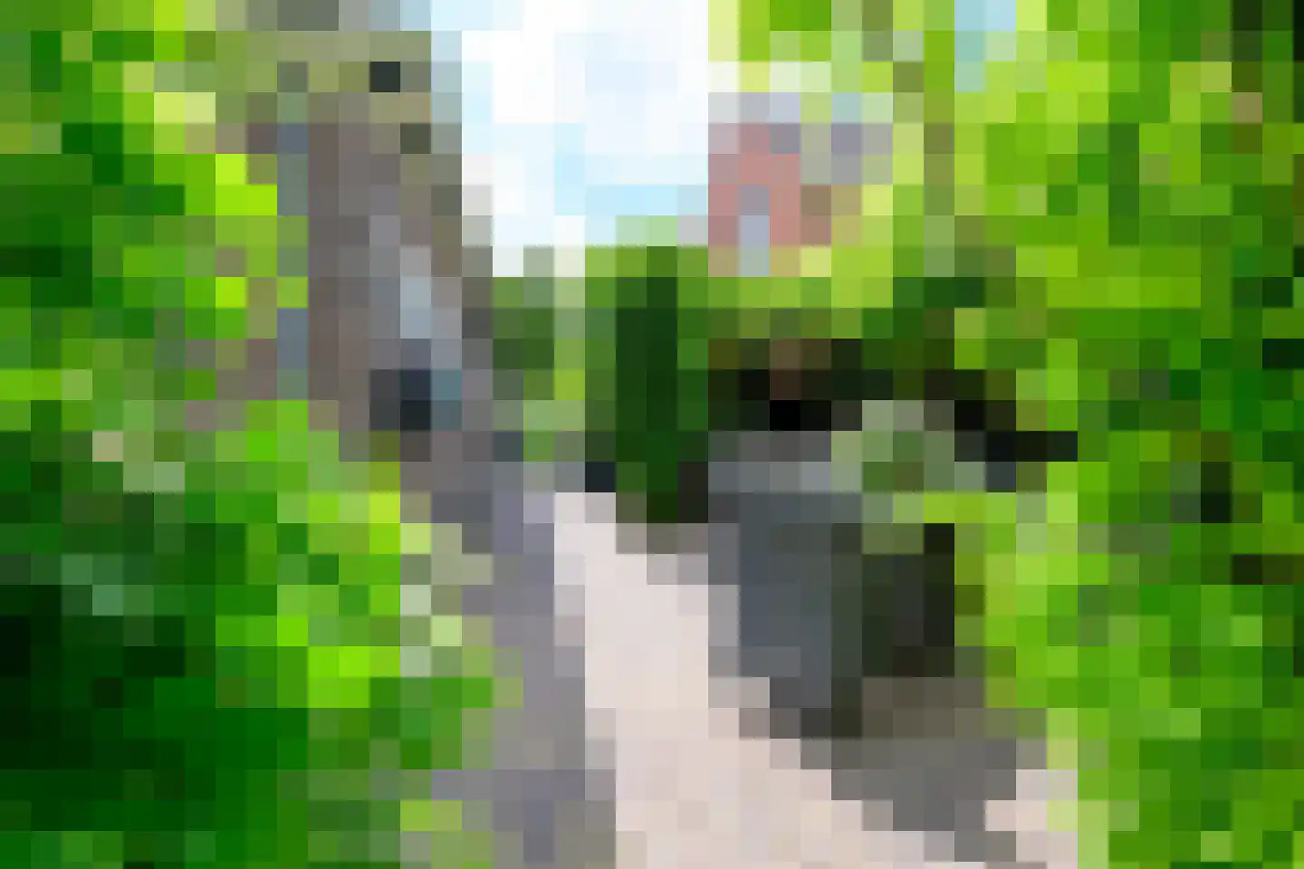 Gouw 2 Opperdoes thumbnail 33