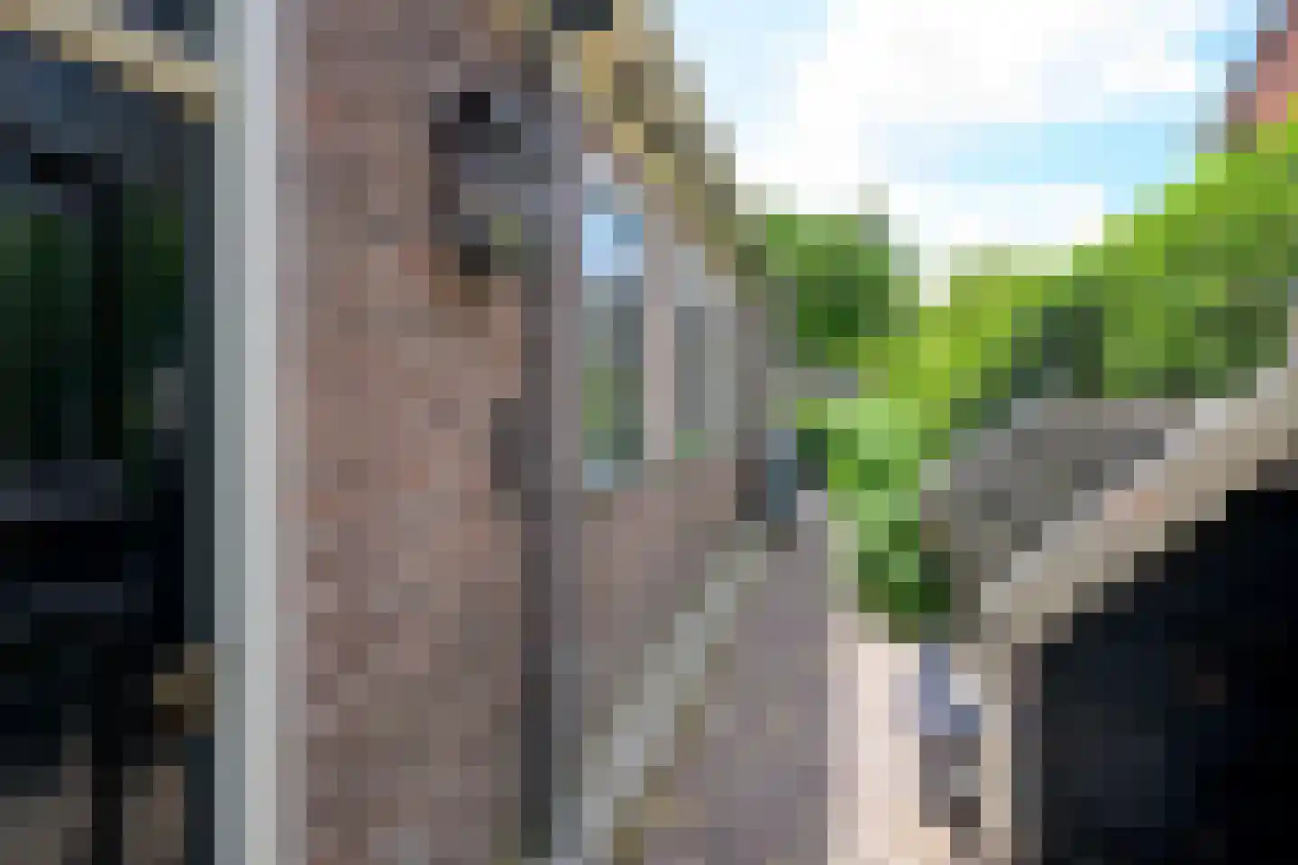 Gouw 2 Opperdoes thumbnail 35