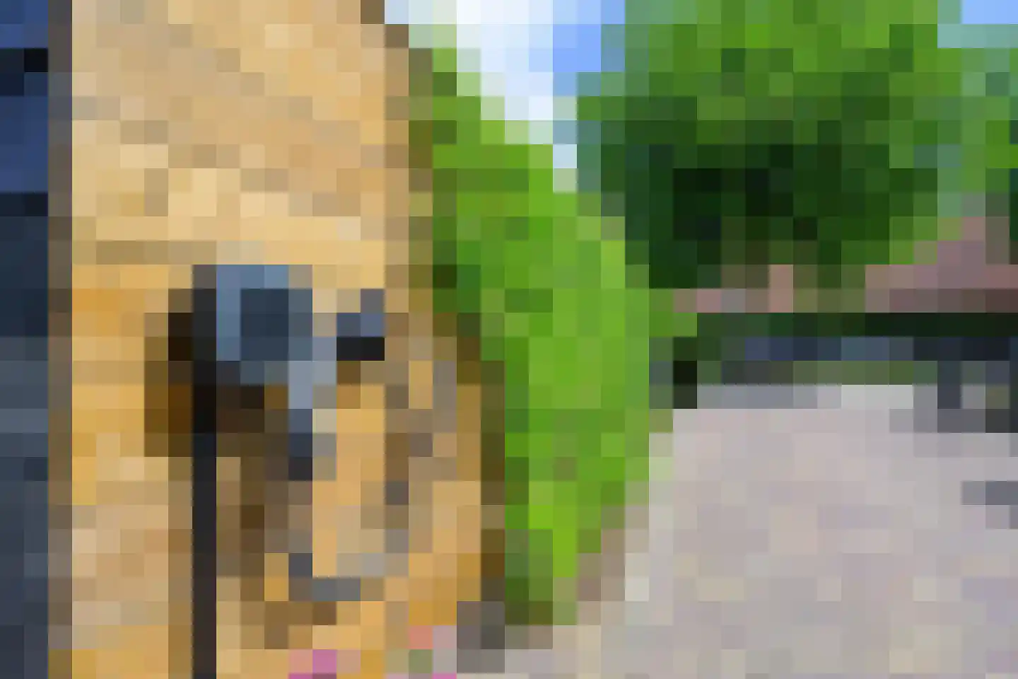 Gouw 2 Opperdoes thumbnail 39