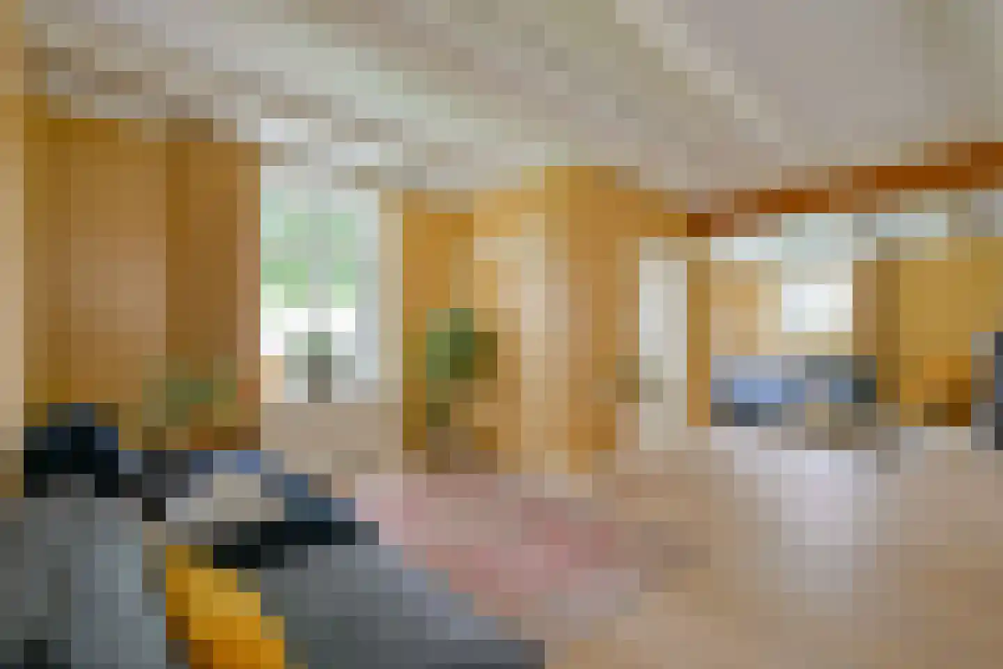 Gouw 2 Opperdoes thumbnail 4