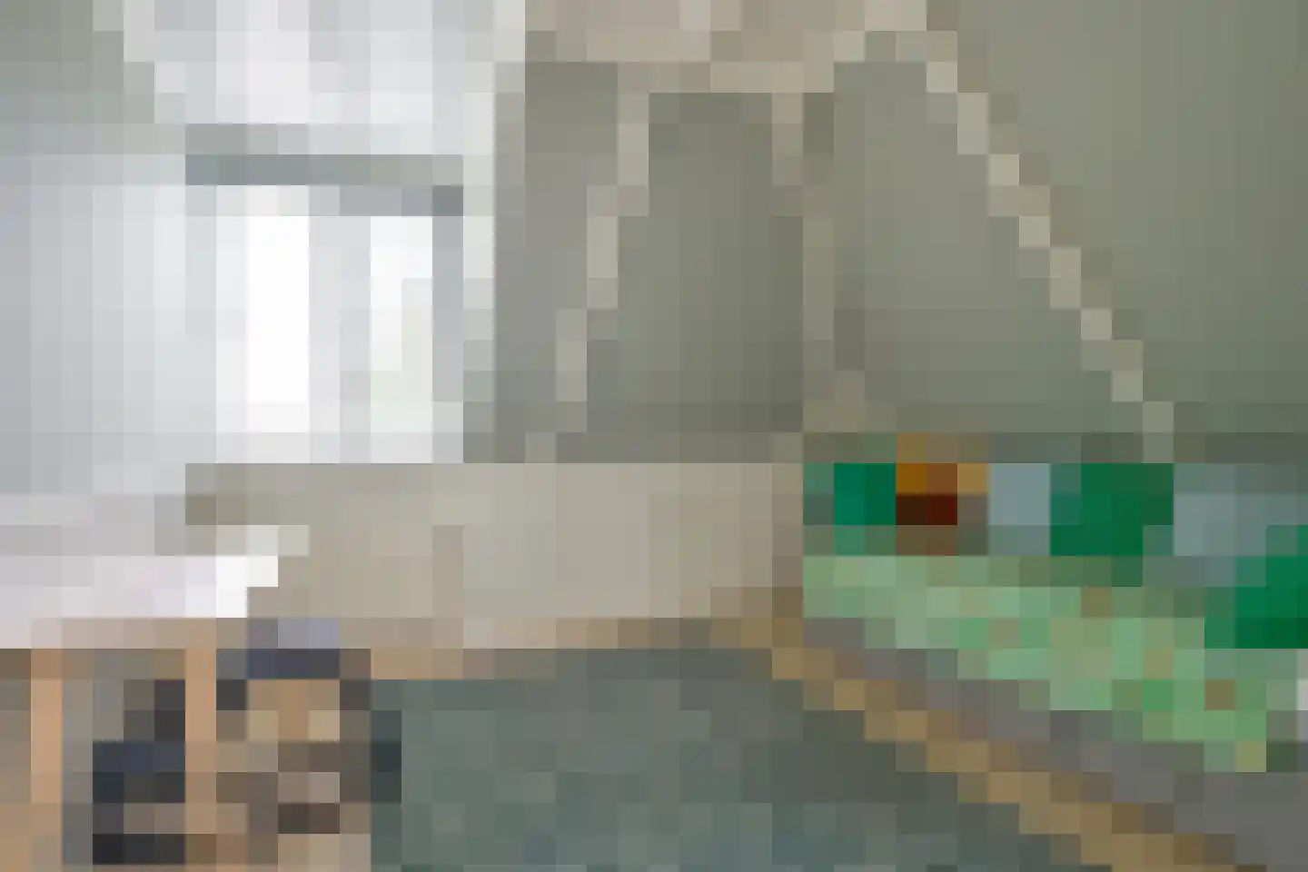 Gouw 2 Opperdoes thumbnail 47