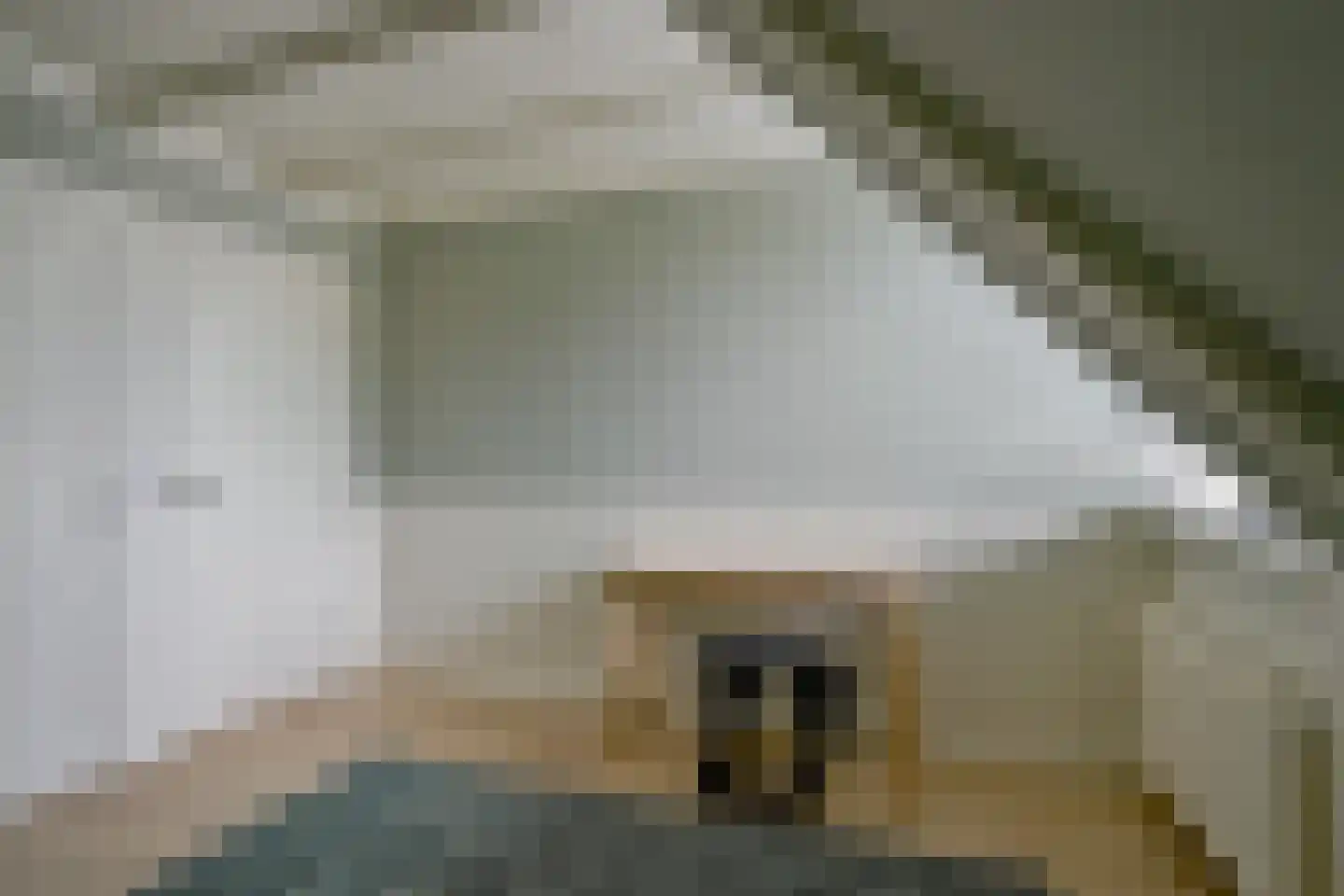 Gouw 2 Opperdoes thumbnail 48