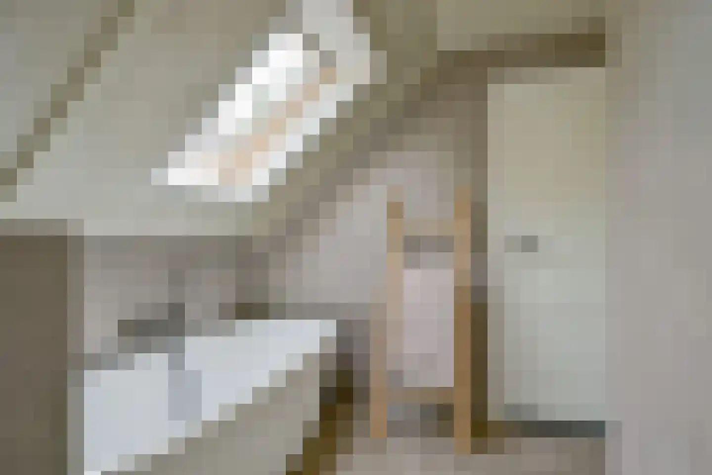 Gouw 2 Opperdoes thumbnail 49