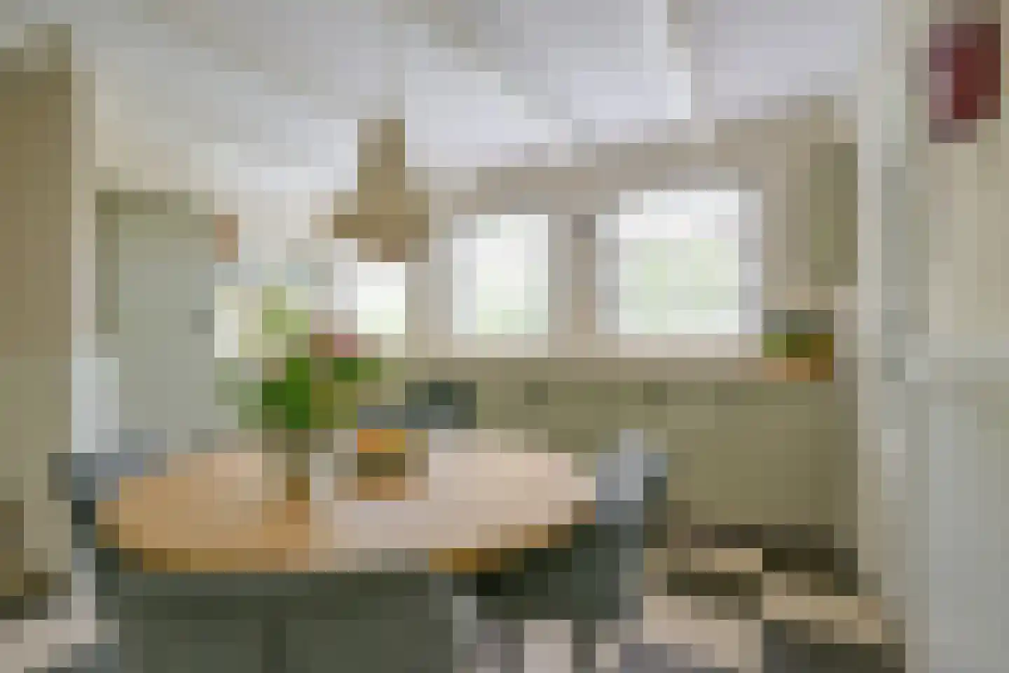 Gouw 2 Opperdoes thumbnail 5