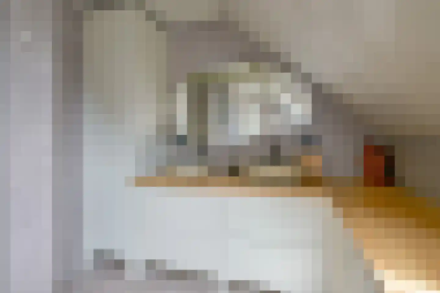 Gouw 2 Opperdoes thumbnail 50