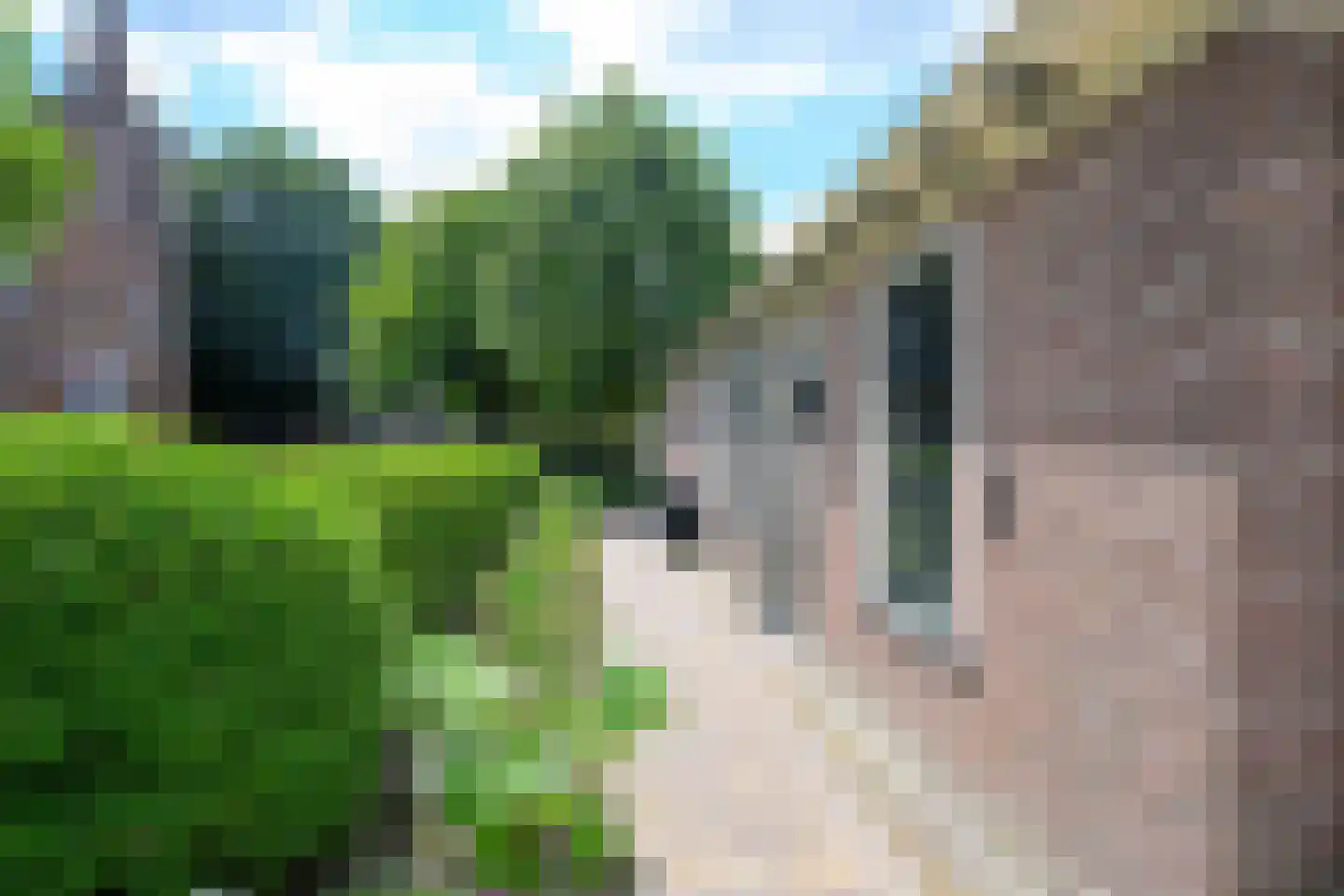 Gouw 2 Opperdoes thumbnail 59