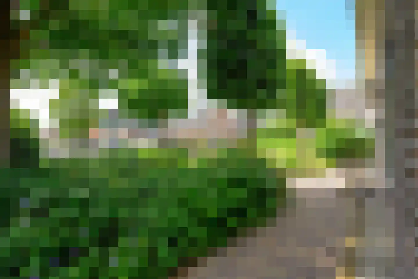 Gouw 2 Opperdoes thumbnail 62