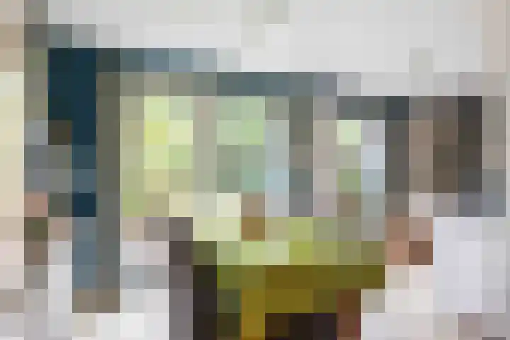 Gouw 43 Winsum thumbnail 17