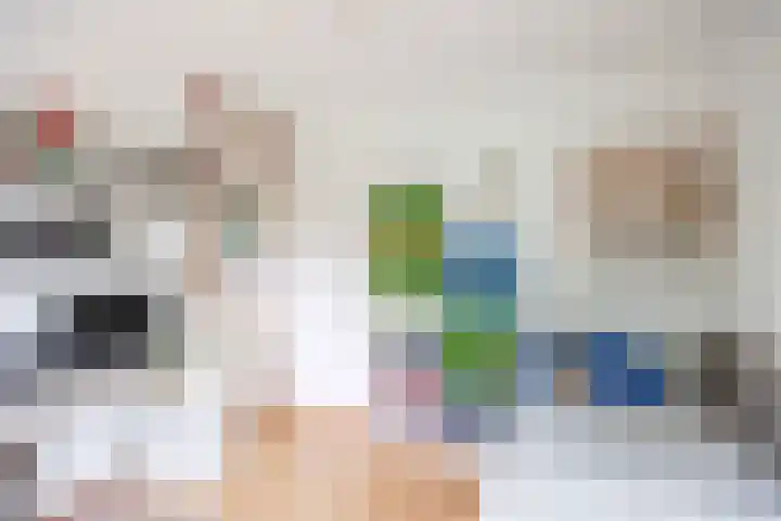 Gouw 43 Winsum thumbnail 30