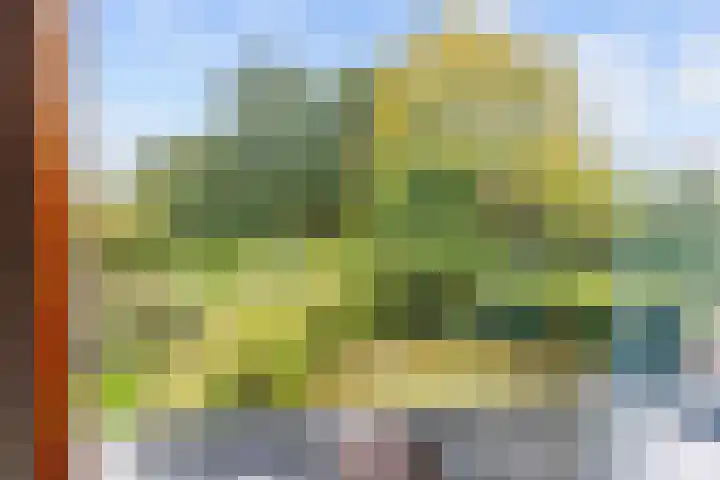 Gouw 43 Winsum thumbnail 31