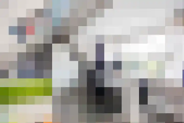 Gouw 43 Winsum thumbnail 33