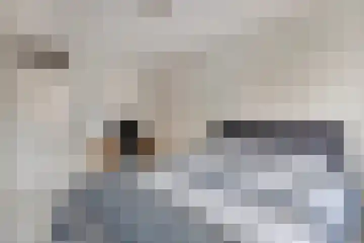 Gouw 56 B Purmerend thumbnail 20