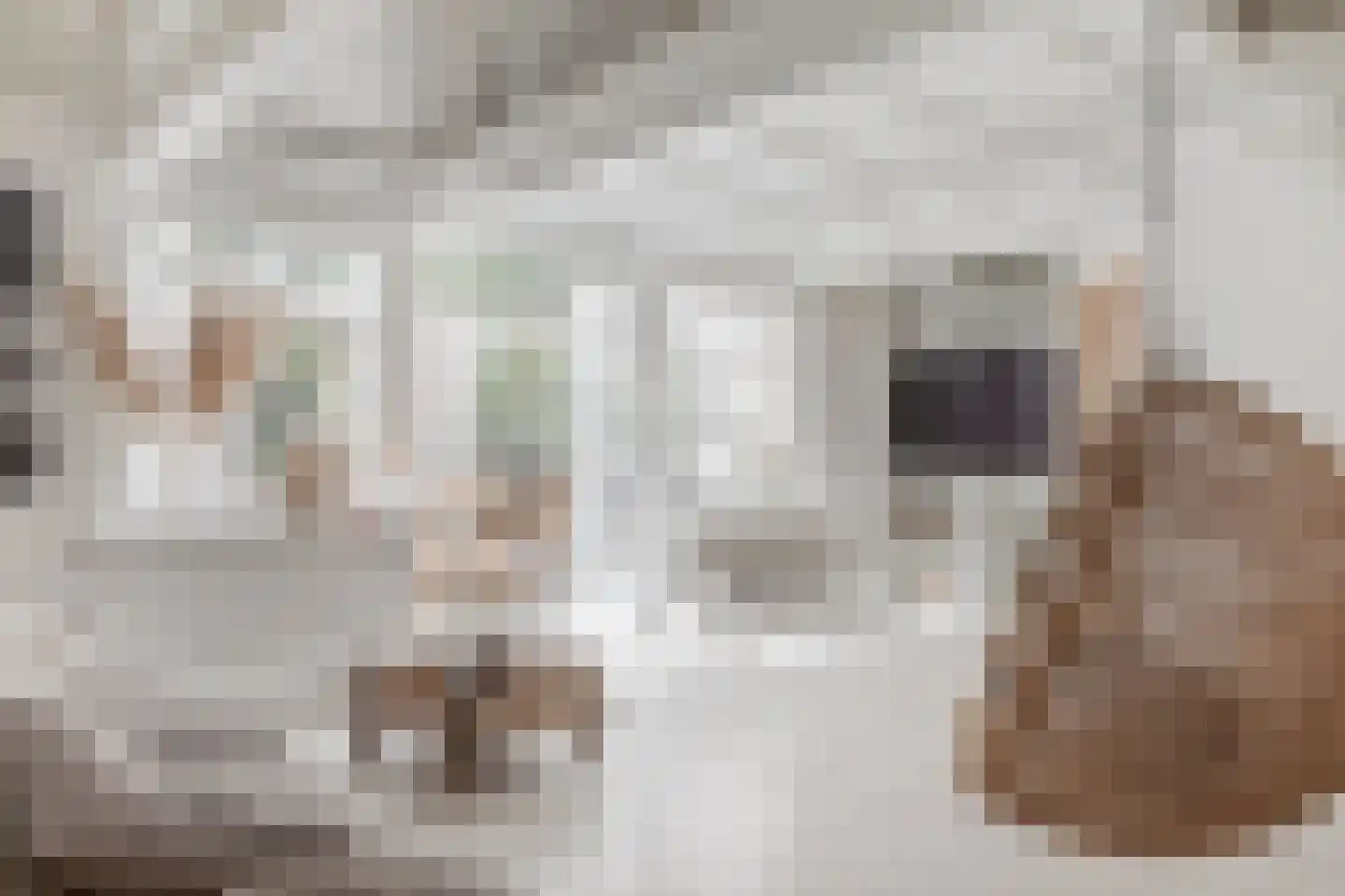 Gouw 7 Hoorn thumbnail 19