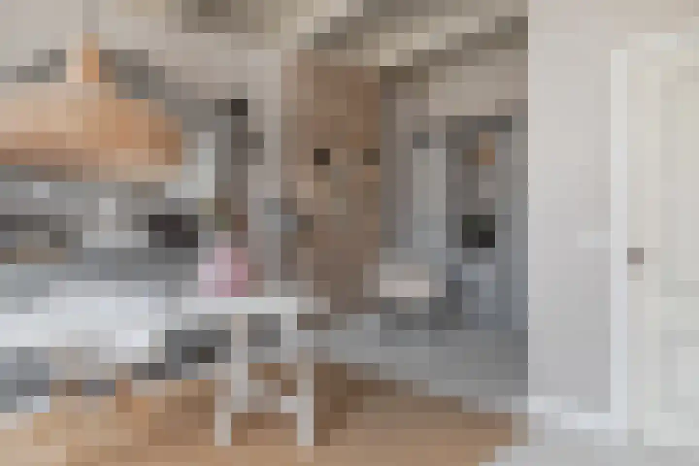 Gouw 7 Hoorn thumbnail 27
