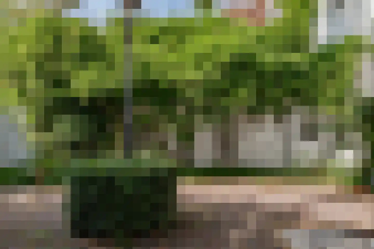 Gouw 7 Hoorn thumbnail 48