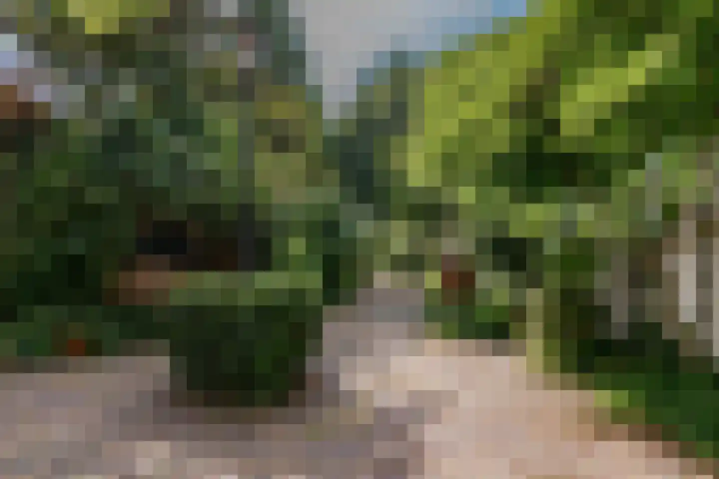 Gouw 7 Hoorn thumbnail 49