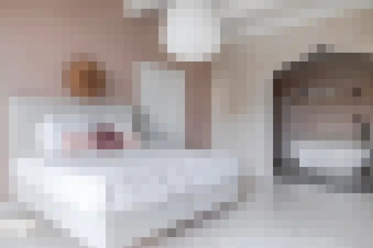 Gouw 7 Hoorn thumbnail 6