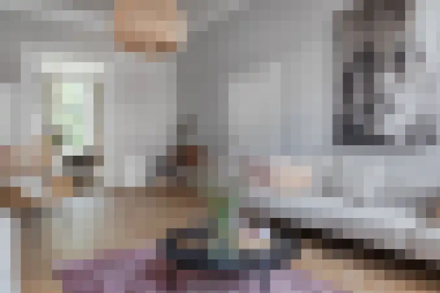 Gouw 7 Hoorn thumbnail 8
