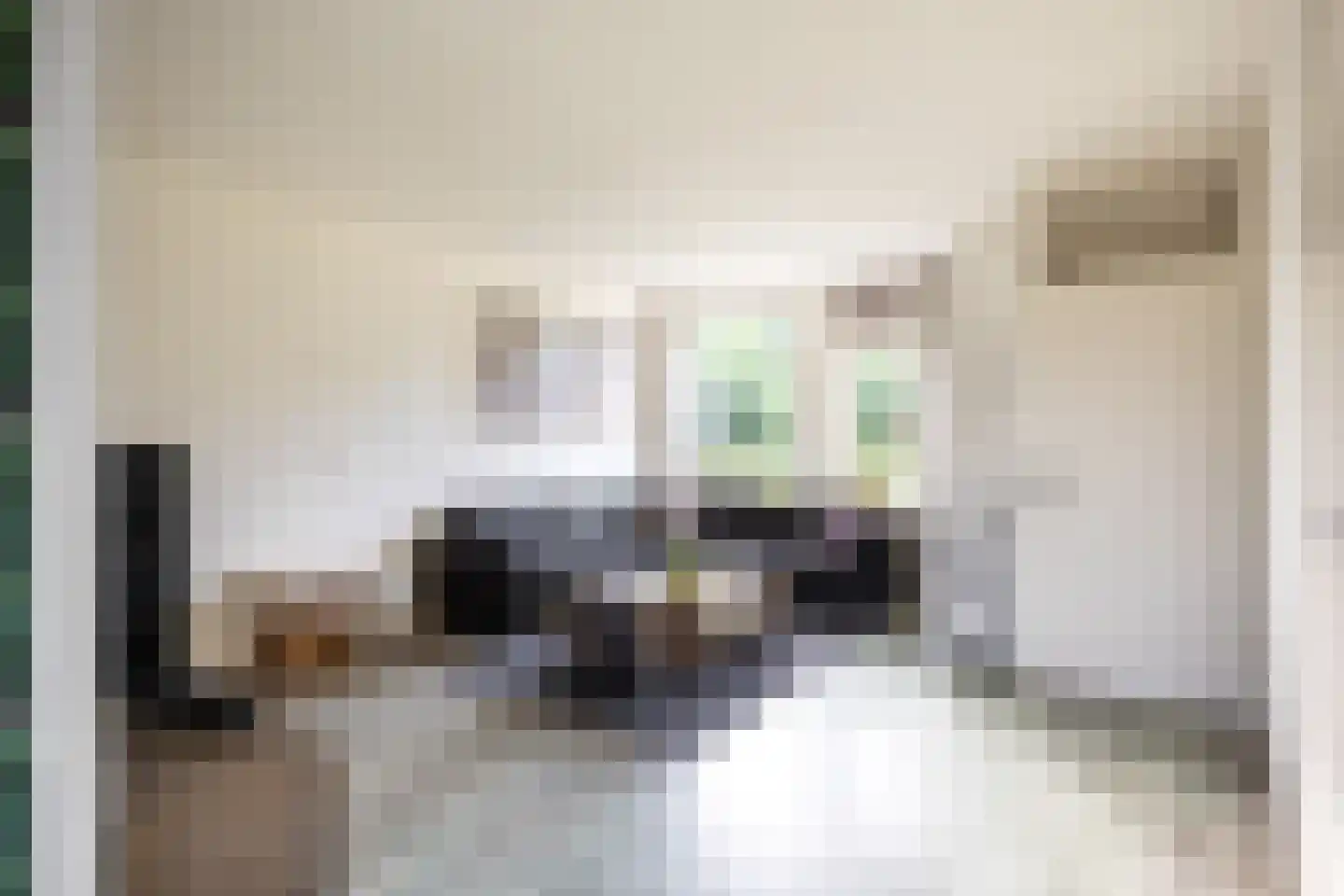 Gouw 8 Winsum thumbnail 10