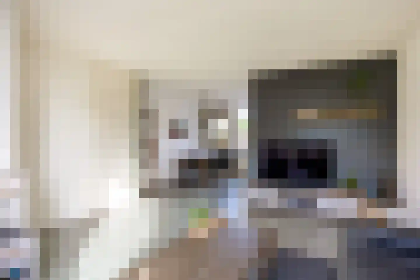Gouw 8 Winsum thumbnail 11