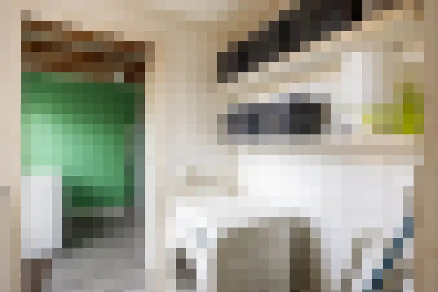Gouw 8 Winsum thumbnail 15