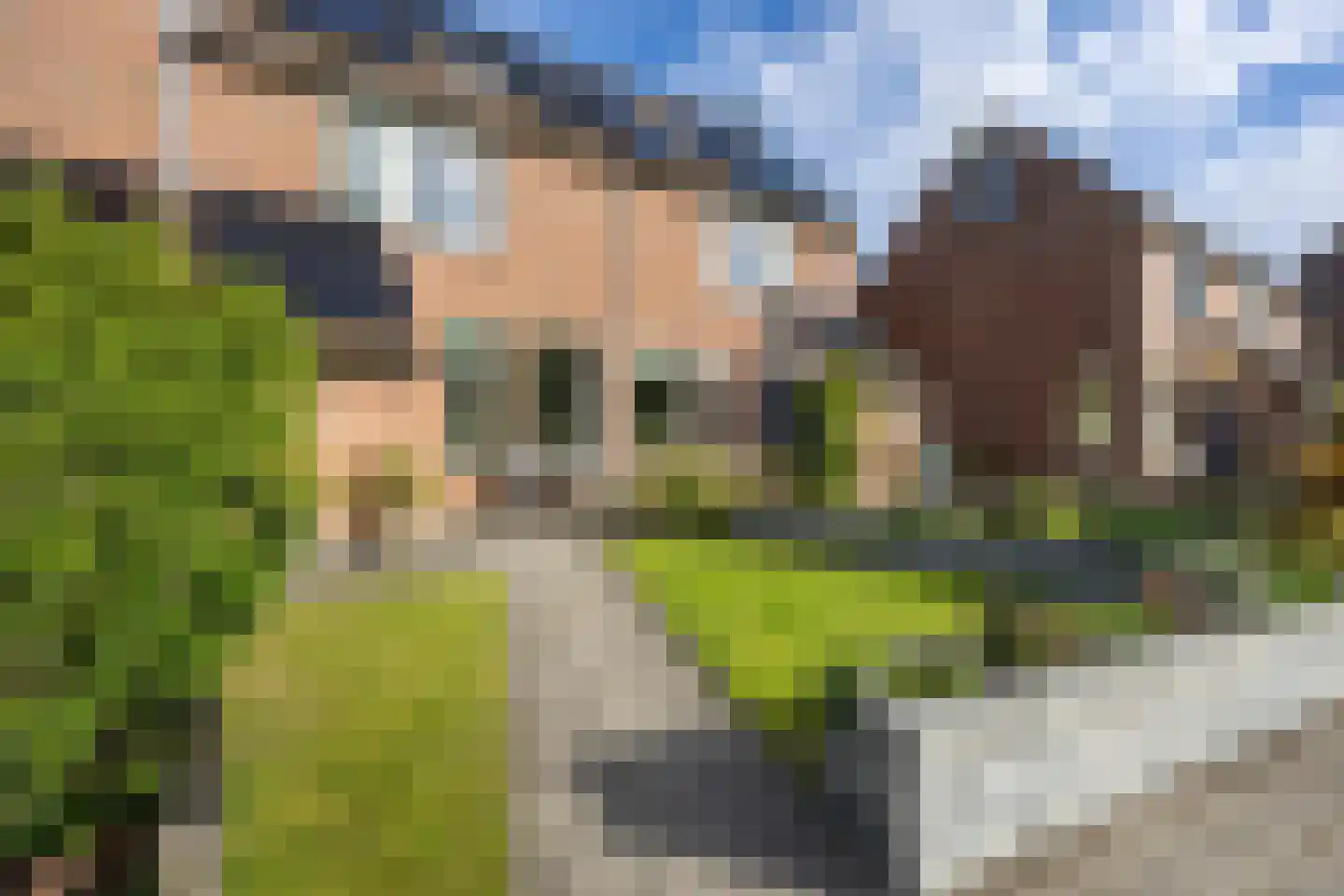 Gouw 8 Winsum foto 3