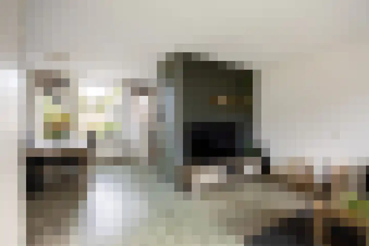 Gouw 8 Winsum thumbnail 9
