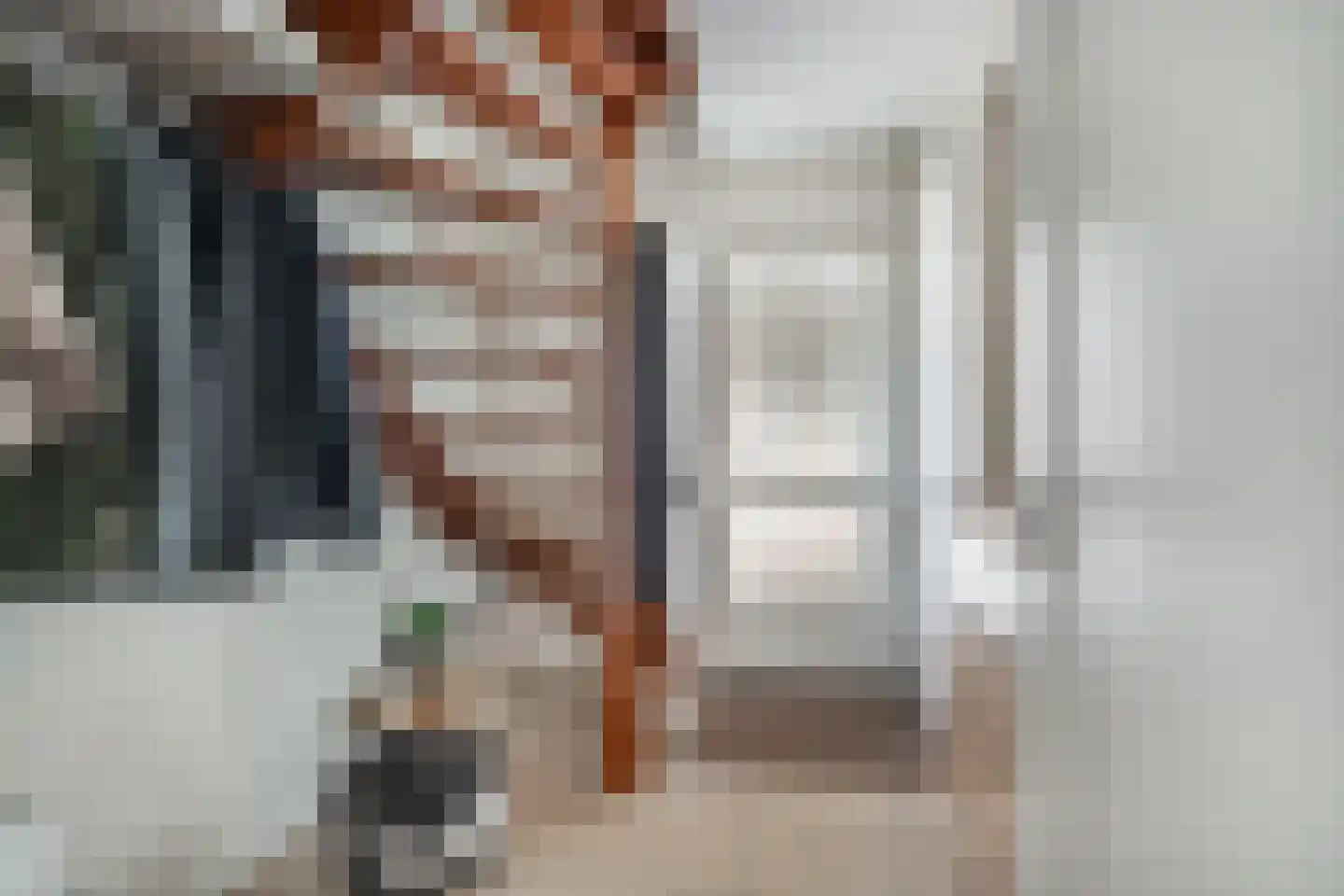 Gouwakker 16 Hedel thumbnail 14