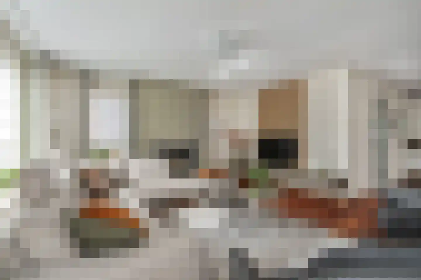 Gouwakker 16 Hedel thumbnail 18