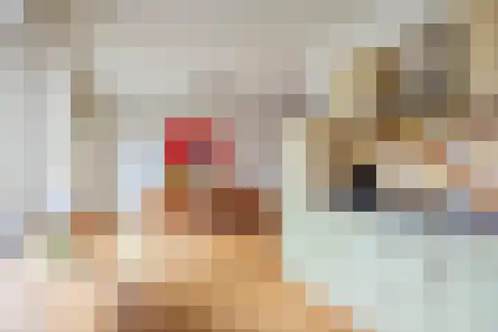 Gouwakker 4 Hedel thumbnail 15
