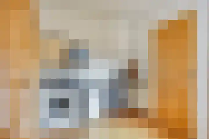 Gouwakker 4 Hedel thumbnail 16