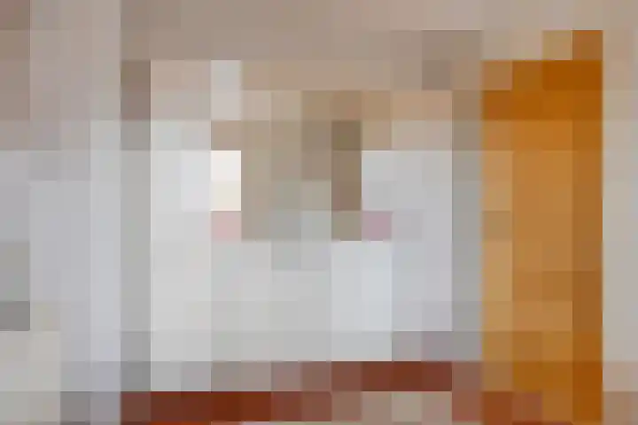 Gouwakker 4 Hedel thumbnail 22