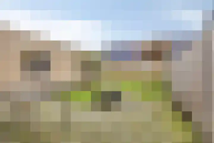 Gouwakker 4 Hedel thumbnail 28