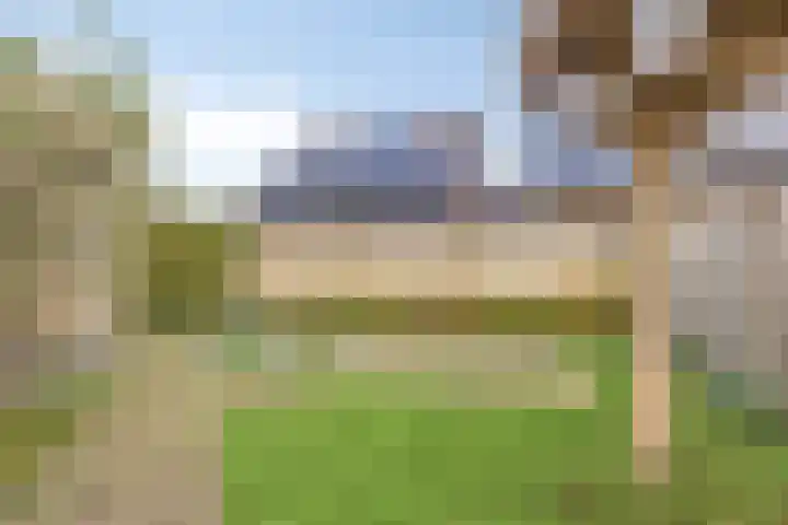 Gouwakker 4 Hedel thumbnail 29