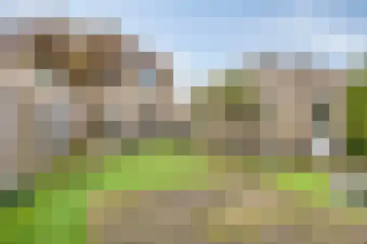 Gouwakker 4 Hedel foto 3