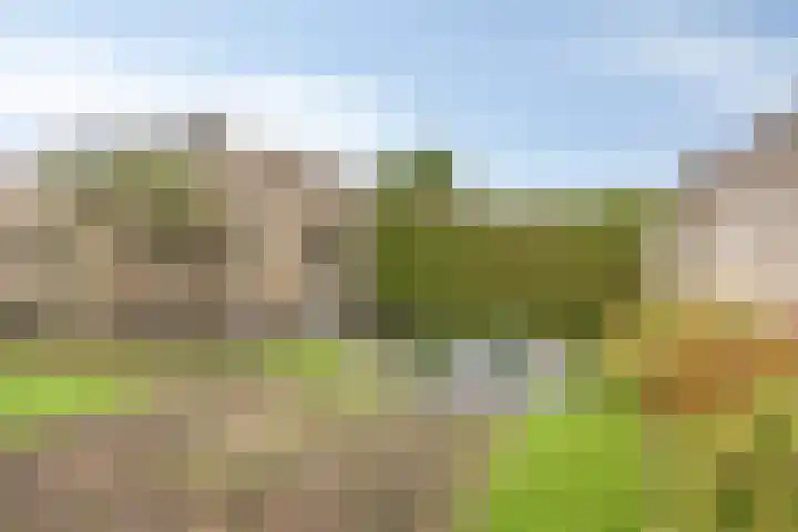 Gouwakker 4 Hedel thumbnail 30