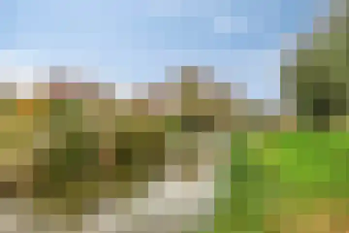 Gouwakker 4 Hedel thumbnail 34