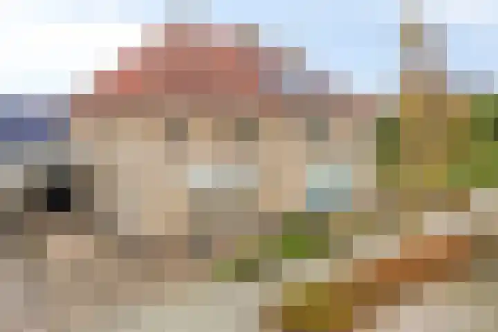 Gouwakker 4 Hedel thumbnail 4