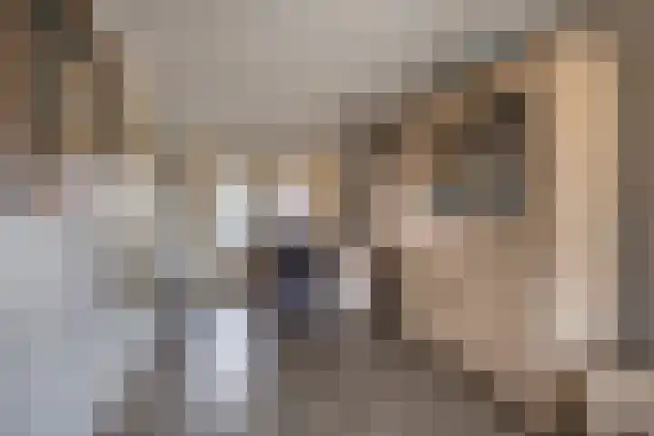 Gouwakker 45 Hedel thumbnail 11