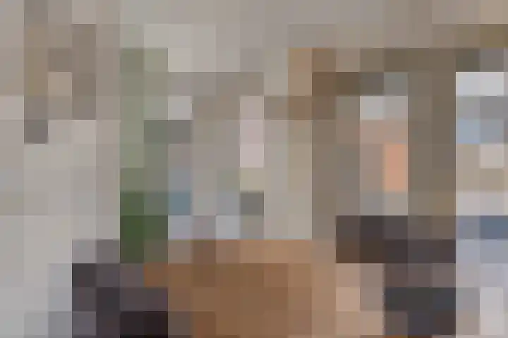 Gouwakker 45 Hedel thumbnail 12