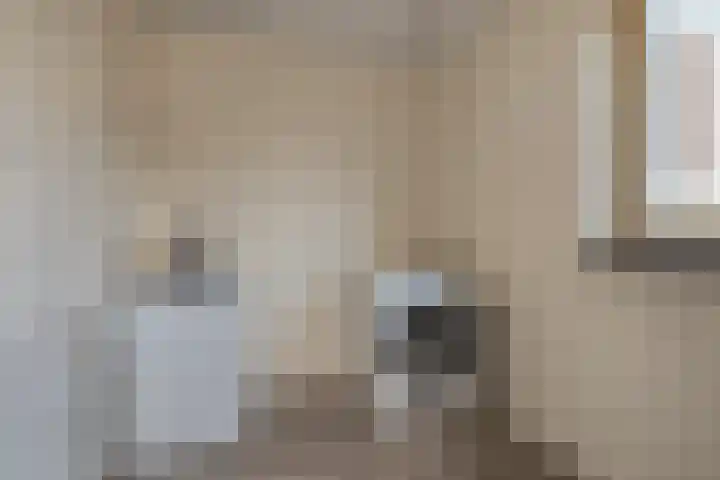 Gouwakker 45 Hedel thumbnail 16